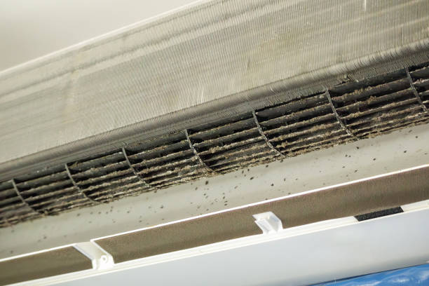 Best HVAC Air Duct Cleaning  in Socorro, TX